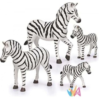 Terra - Famiglia Zebra...